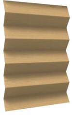 Structura 1837 