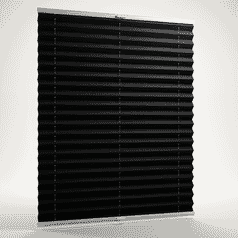 Vivid Blackout 1501