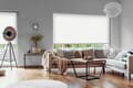 Rollo Broto Blackout 3913 Wohnzimmer