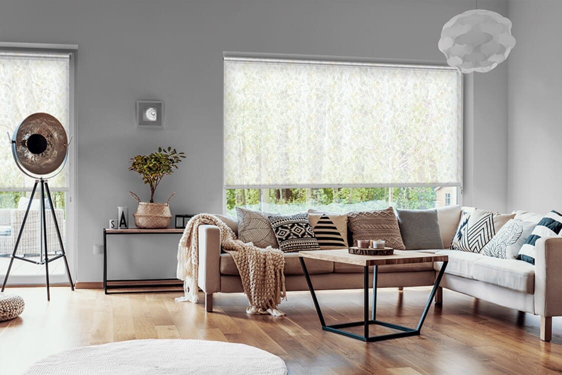 Rollo Pinta 3909 Wohnzimmer