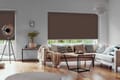 Rollo Tanto Blackout 3845 Wohnzimmer