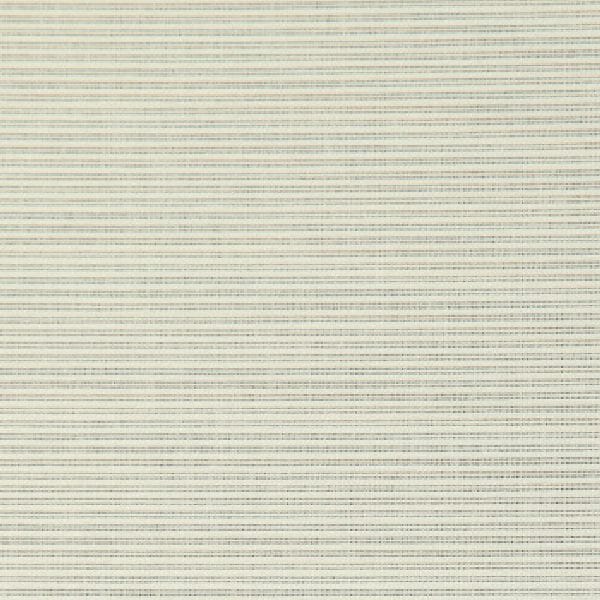 Texture 3431 Texture 3431