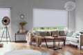 Rollo Vento Blackout 3862 Wohnzimmer
