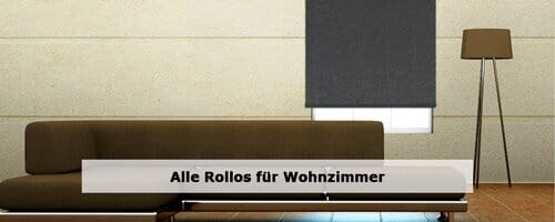 Wohnzimmer Rollos