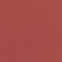 Rollo Rot